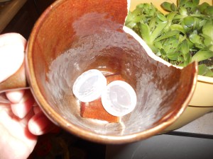 Broken cups still have a great use for planters!