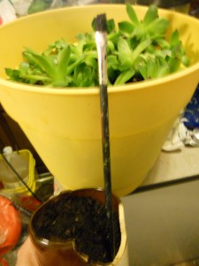 best rule of thumb is to use what I have on hand...thus the paintbrush to poke stem holes!